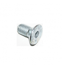 VIS POUR FIXATION DE DISQUE AIXAM, CHATENET MEDIA STELLA