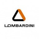 Filtro de aceite Lombardini DCI